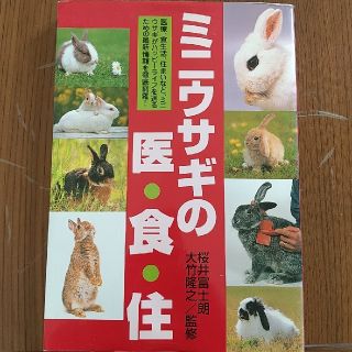 ミニウサギの医・食・住(住まい/暮らし/子育て)