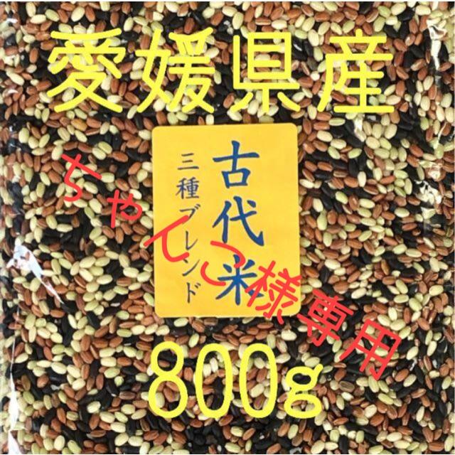 ちゃんこ様専用　古代米3種ブレンド愛媛県産　800ｇ 食品/飲料/酒の食品(米/穀物)の商品写真