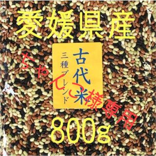 ちゃんこ様専用　古代米3種ブレンド愛媛県産　800ｇ(米/穀物)