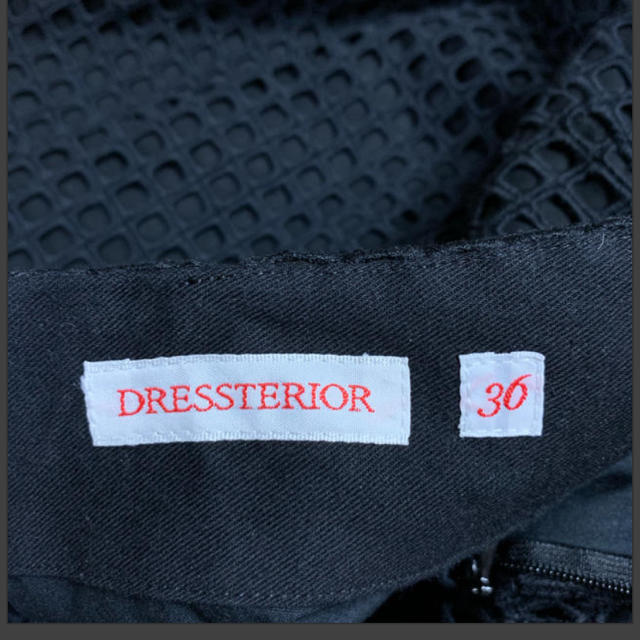 DRESSTERIOR(ドレステリア)のDRESSTERIR ドレステリア　レースフレアスカート レディースのスカート(ひざ丈スカート)の商品写真
