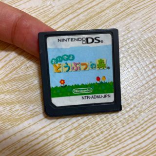 ニンテンドーDS(ニンテンドーDS)のおいでよ　どうぶつの森(家庭用ゲームソフト)