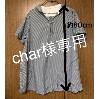 半袖　チュニック　ストライプ　３XL　大きいサイズ(チュニック)