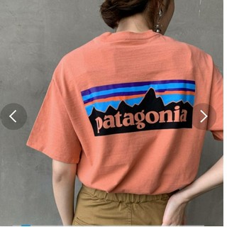 パタゴニア(patagonia)のユニセックス品 patagoniaポケットつきTシャツ(Tシャツ/カットソー(半袖/袖なし))