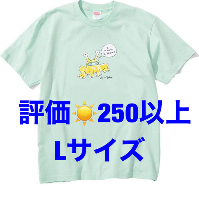 Tシャツ/カットソー(半袖/袖なし)【Lサイズ】Supreme Daniel Johnston flog tee