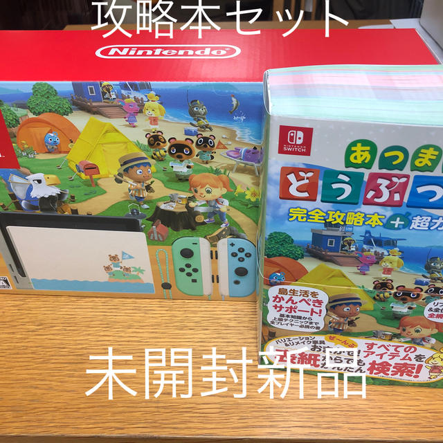 Nintendo Switch - Nintendo Switch あつまれ どうぶつの森セット＋攻略本