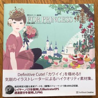 ＦＯＲ　ＰＲＩＮＣＥＳＳ 夢みるガ－リ－素材集(コンピュータ/IT)