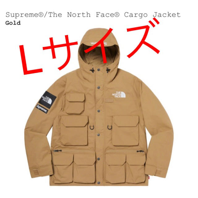 Supreme north face cargo jacket