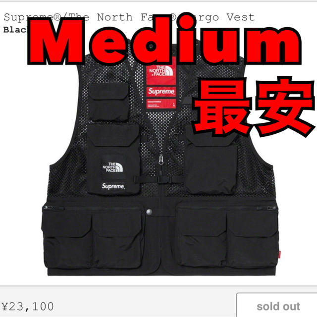 Supreme The North Face Cargo vest