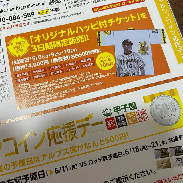 阪神タイガース(ハンシンタイガース)の2017年 阪神タイガース　ハッピ　秋山投手 スポーツ/アウトドアの野球(応援グッズ)の商品写真