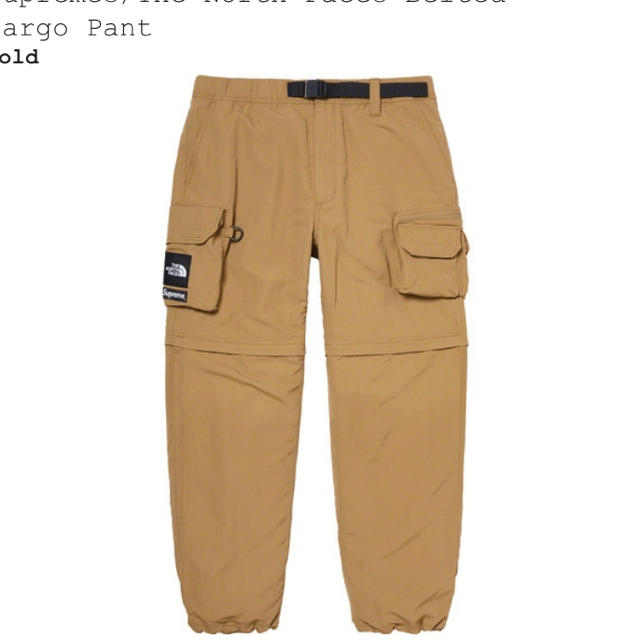 春夏新作モデル Supreme - Sサイズ Supreme The North Face Cargo Pant