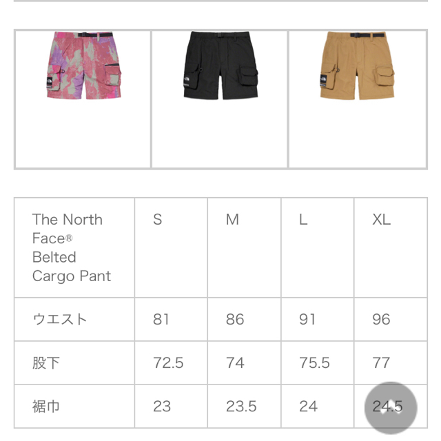 Supreme(シュプリーム)のSサイズ　Supreme The North Face Cargo Pant  メンズのパンツ(ワークパンツ/カーゴパンツ)の商品写真