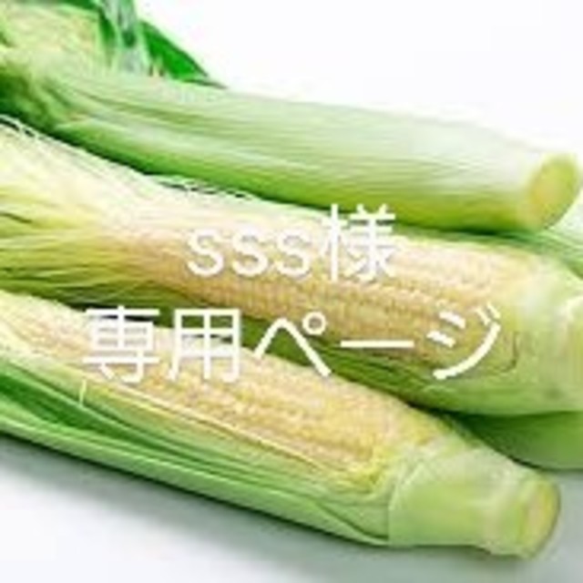 🌽ヤングコーン山梨県産🌽 食品/飲料/酒の食品(野菜)の商品写真