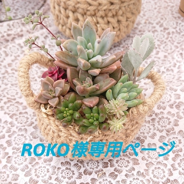 ROKO様専用ページ！多肉植物寄せ植え(*^^*)麻かご寄せ ハンドメイドのフラワー/ガーデン(プランター)の商品写真