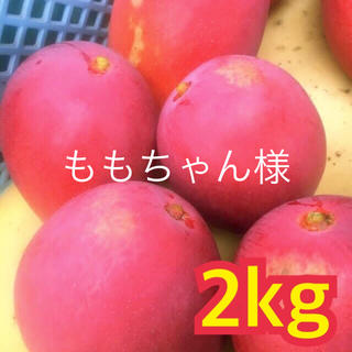 宮崎県産 完熟マンゴー 自家用 2~2.3kg(フルーツ)