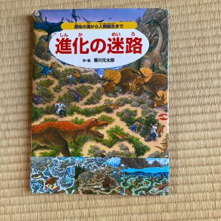 進化の迷路　本(絵本/児童書)