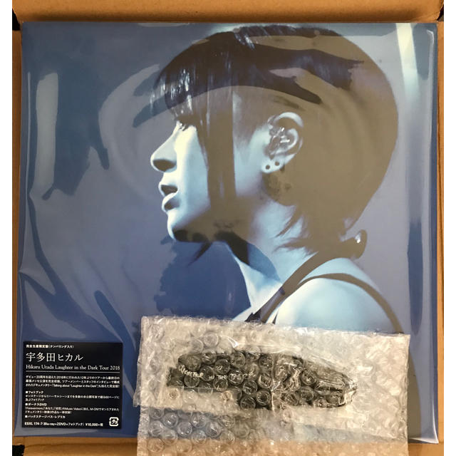 宇多田ヒカル HIKARU UTADA Laughter in the Dark - DVD/ブルーレイ