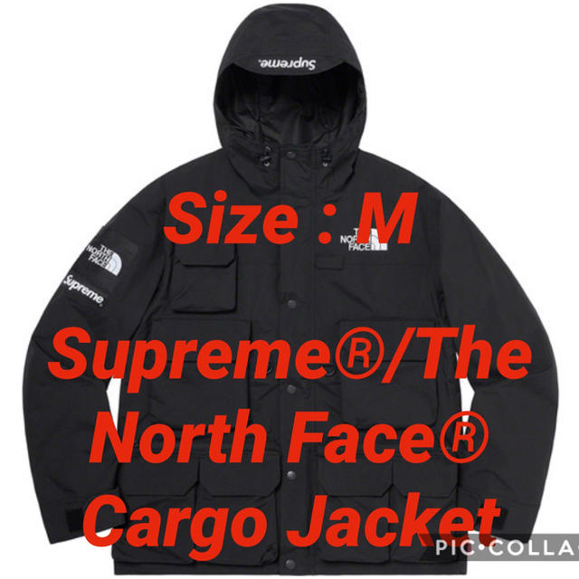 Supreme®/The North Face® Cargo Jacket