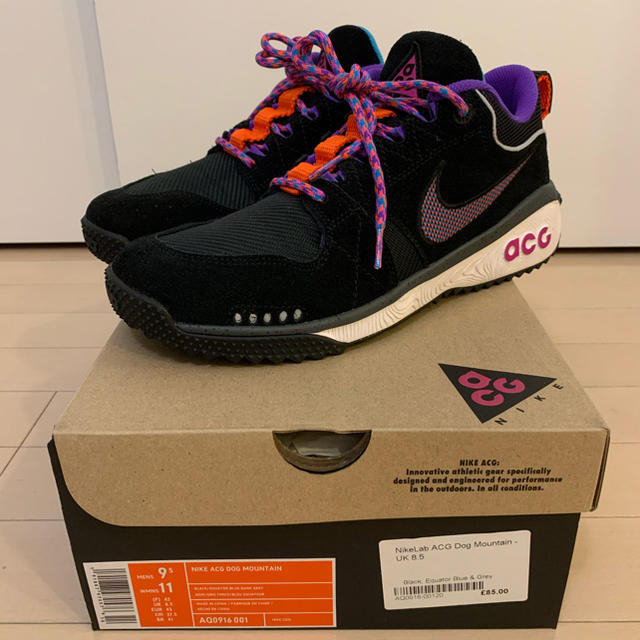 [新品未使用品] NIKE ACG DOG MOUNTAIN