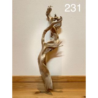 流木【231】(置物)