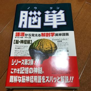 脳単 語源から覚える解剖学英単語集脳・神経編(健康/医学)