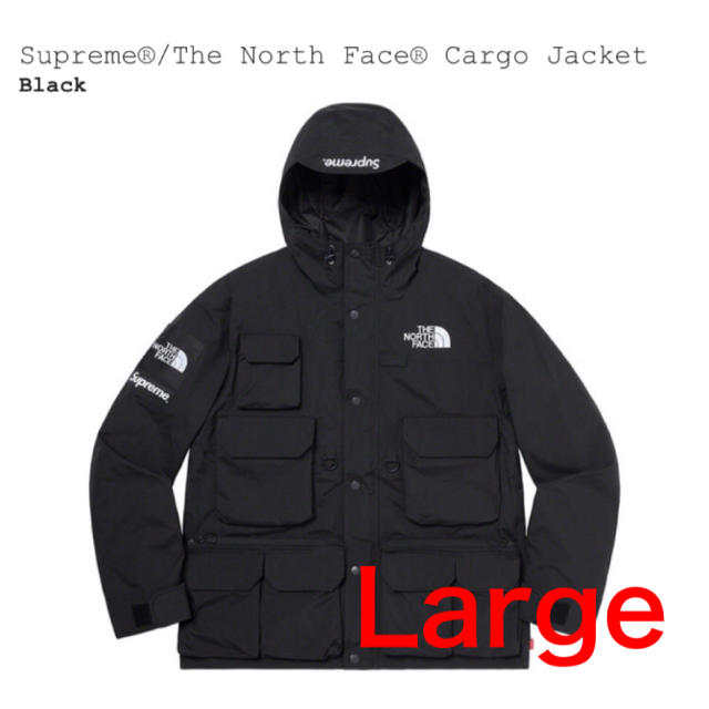 Supreme® The North Face® Cargo Jacket  Lジャケット/アウター