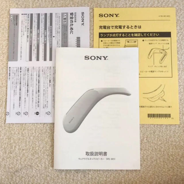 SONY SRS-WS1