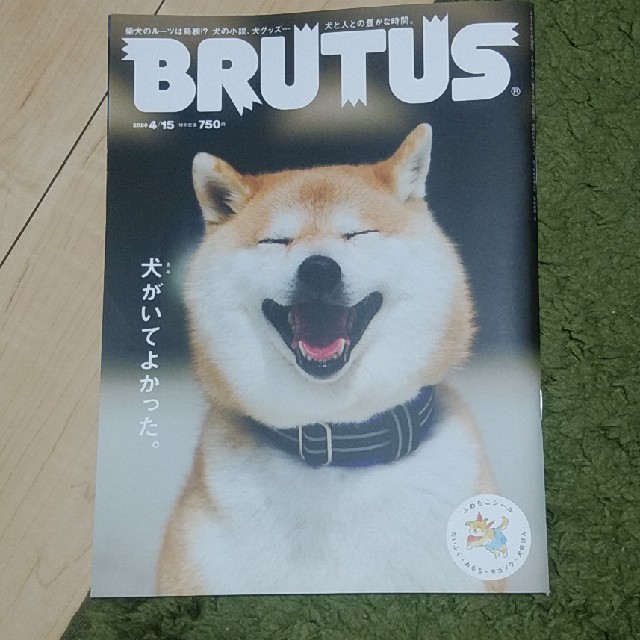 BRUTUS (ブルータス) 2020年 4/15号 エンタメ/ホビーの雑誌(その他)の商品写真