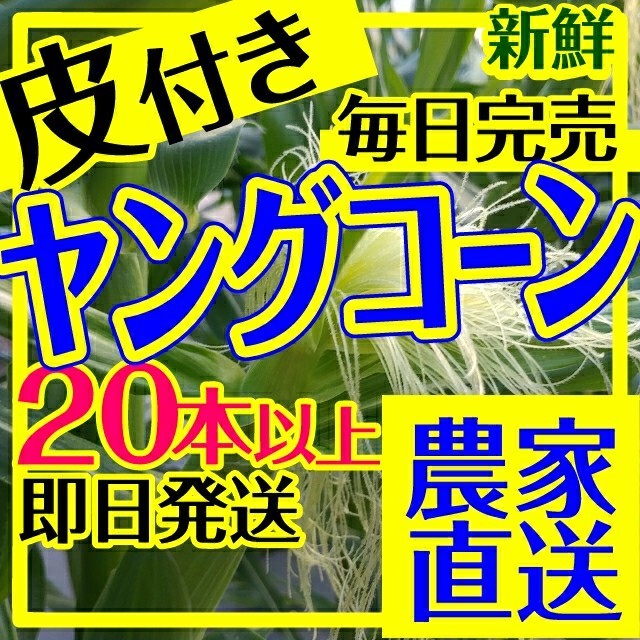 0525/003 ベビー 子供 おやつ 野菜  ヤングコーン 食品/飲料/酒の食品(野菜)の商品写真