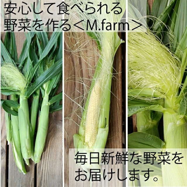 0525/003 ベビー 子供 おやつ 野菜  ヤングコーン 食品/飲料/酒の食品(野菜)の商品写真