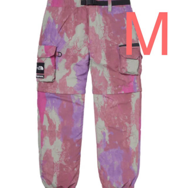 Supreme The North Face Belted Cargo Pant | www.jarussi.com.br