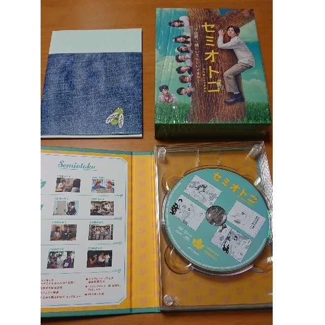 セミオトコ　DVD-BOX DVD