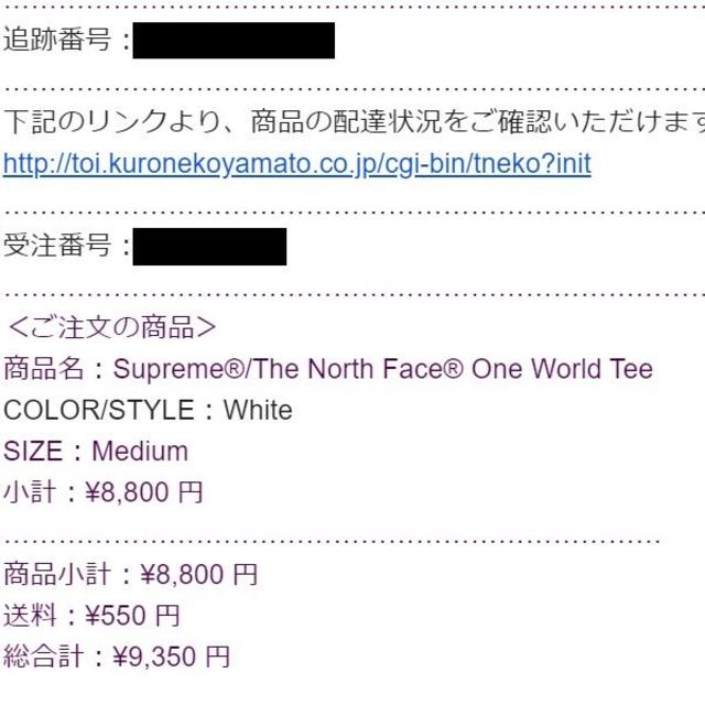 Supreme(シュプリーム)のSupreme The North Face One World Tee メンズのトップス(Tシャツ/カットソー(半袖/袖なし))の商品写真