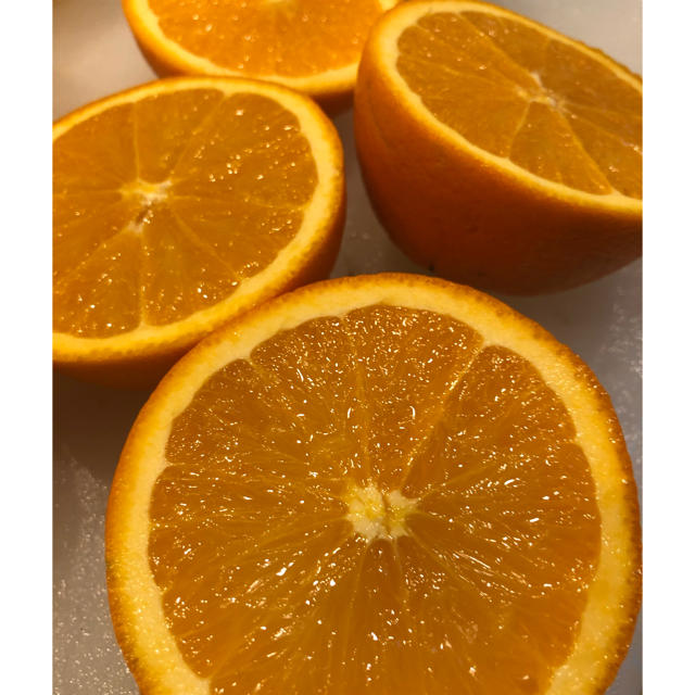 Sankistネーブルオレンジ　約5kg 大玉 食品/飲料/酒の食品(フルーツ)の商品写真