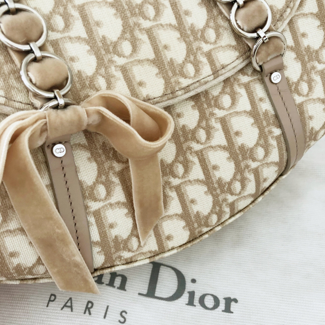 Christian Dior(クリスチャンディオール)のレディーディオール  DIOR ロマンティック　chesty トロッター バッグ レディースのバッグ(ハンドバッグ)の商品写真