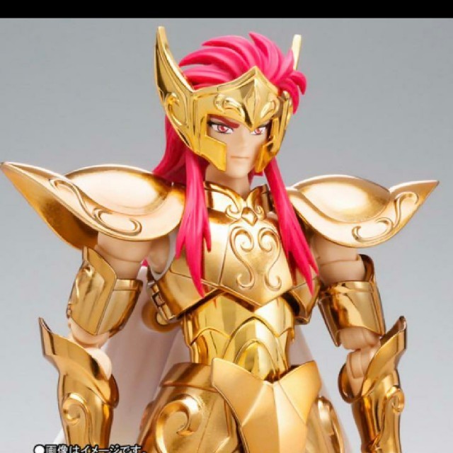 聖闘士聖衣神話EX アクエリアスカミュ TAMASHII NATION2019