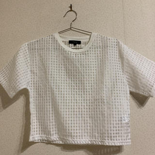 レディース 夏 サマー シースルー tシャツ(Tシャツ(半袖/袖なし))