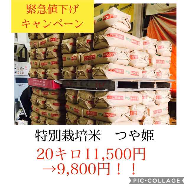 緊急値下げセール！光り輝く大粒米✳︎つや姫20キロ 食品/飲料/酒の食品(米/穀物)の商品写真