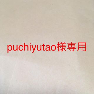 トミー(TOMMY)のサンダーバード人形　puchiyutao様専用(特撮)