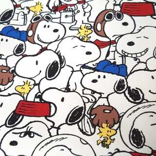 スヌーピー ウッドストック ショルダーバッグ レディース の通販 31点 Snoopyのレディースを買うならラクマ