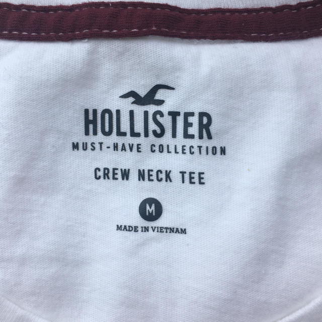 Hollister(ホリスター)の新品未使用　ホリスターTシャツ　M メンズのトップス(Tシャツ/カットソー(半袖/袖なし))の商品写真