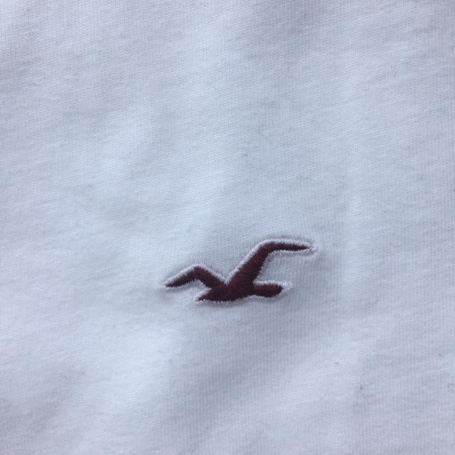 Hollister(ホリスター)の新品未使用　ホリスターTシャツ　M メンズのトップス(Tシャツ/カットソー(半袖/袖なし))の商品写真