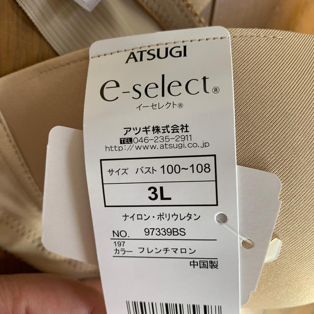 Atsugi(アツギ)の３Ｌ　新品ブラジャー レディースの下着/アンダーウェア(ブラ)の商品写真