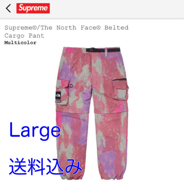 Supreme TNF Cargo Pant Multicolor Large