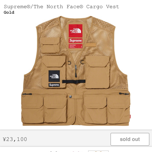 Supreme®/The North Face® Cargo Vest