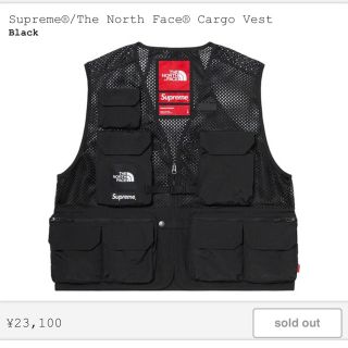 シュプリーム(Supreme)のSupreme®/The North Face® Cargo Vest(ベスト)