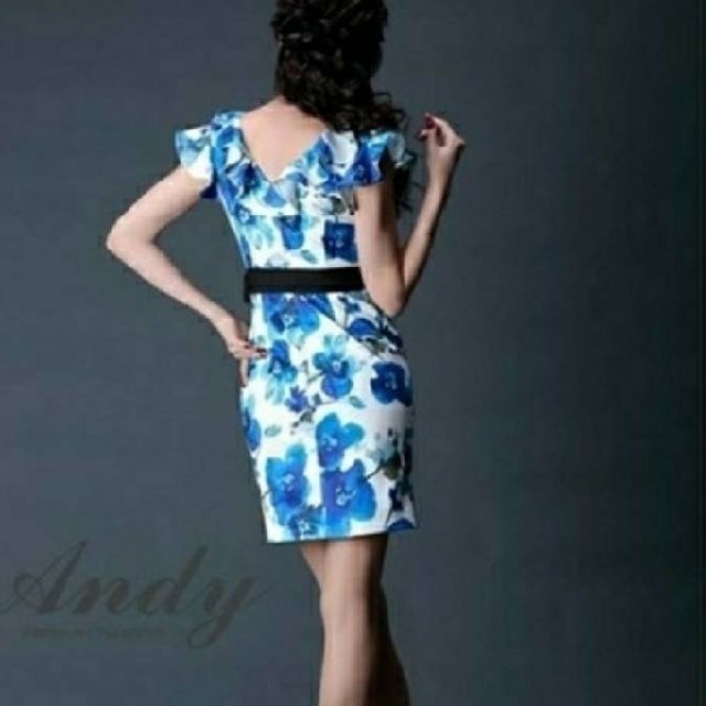 Andy(アンディ)のAndy♥️ドレス レディースのフォーマル/ドレス(ナイトドレス)の商品写真