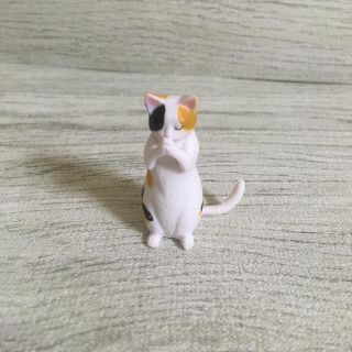 合掌　猫(キャラクターグッズ)