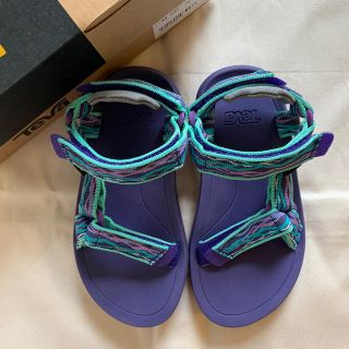 テバ(Teva)の新品 teva 18cm パープル(サンダル)