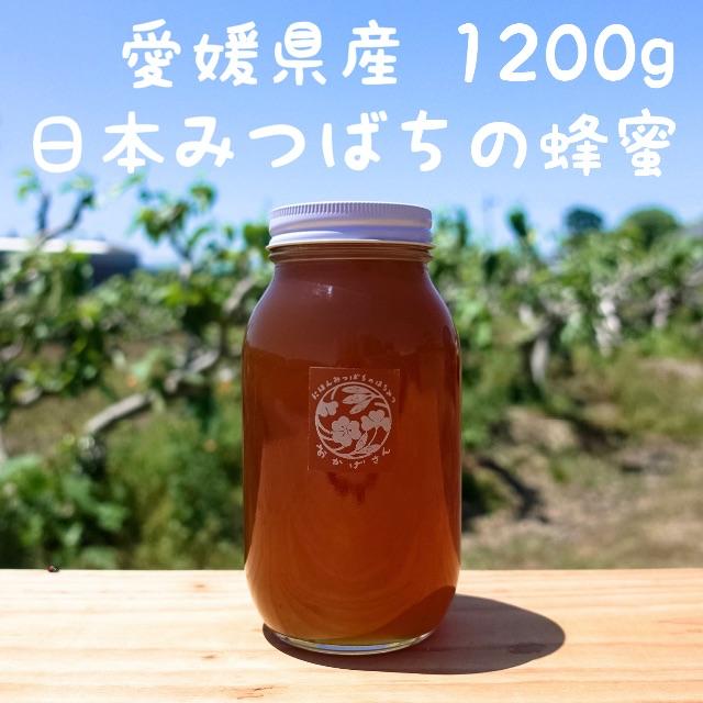 日本ミツバチの蜂蜜 1200g 純粋100％ ”おかげさん” 愛媛県産 はちみつ