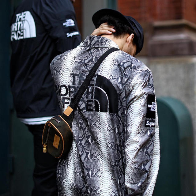 Supreme(シュプリーム)の最安早い者勝ち　Supreme north face Snakeskin メンズのジャケット/アウター(ナイロンジャケット)の商品写真